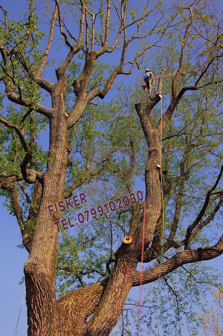 Exemplu real de intervenție cu alpinist utilitar în București