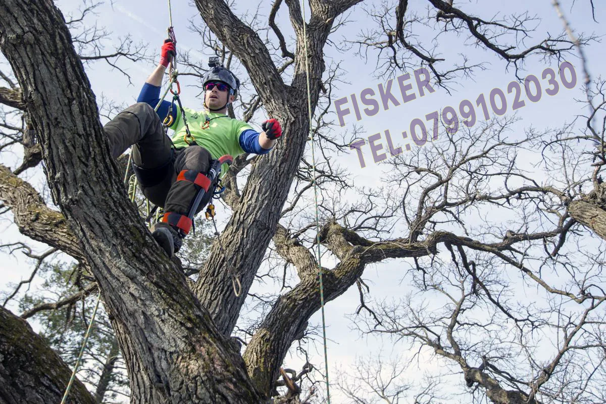 Exemplu real de intervenție cu alpinist utilitar în Ilfov